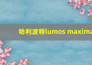 哈利波特lumos maxima